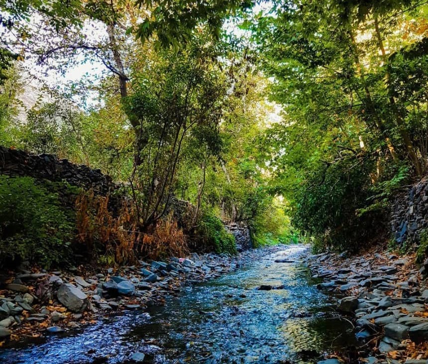 طبیعت پاییزی طرقدر