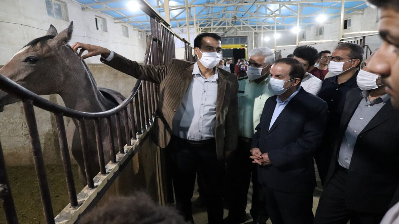 رونق ورزش سوارکاری در آباده
