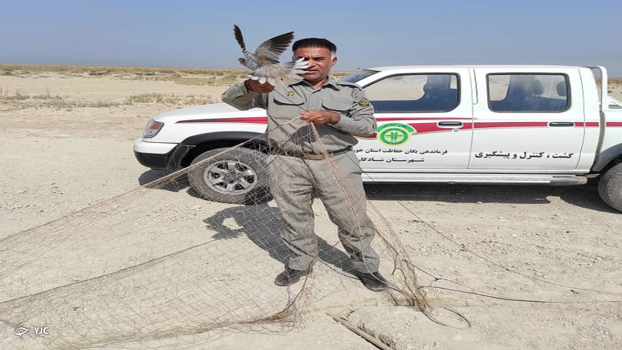 کوخه نشینان دست خالی از مناطق حفاظت شده شادگان می‌روند