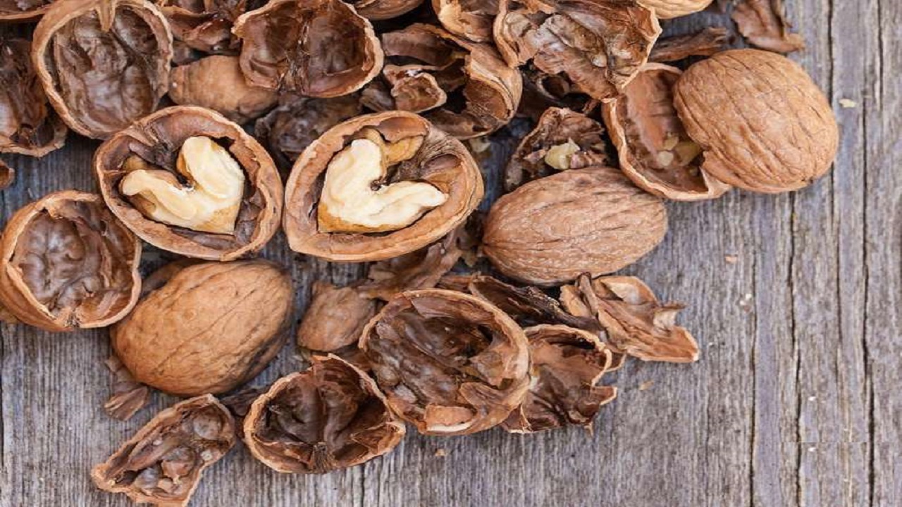 مواد غذایی مفید برای مو‌های شما