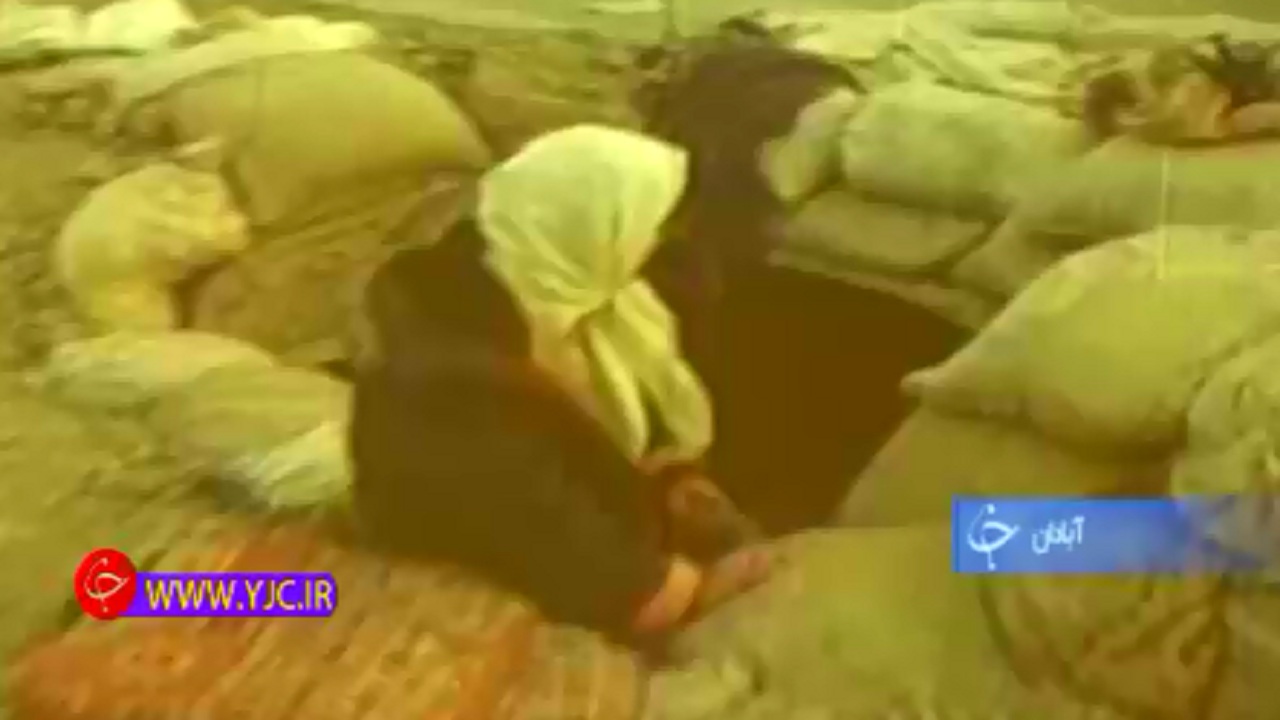 روایتی از ۲۴ شهید خانواده بحرانی پور+فیلم