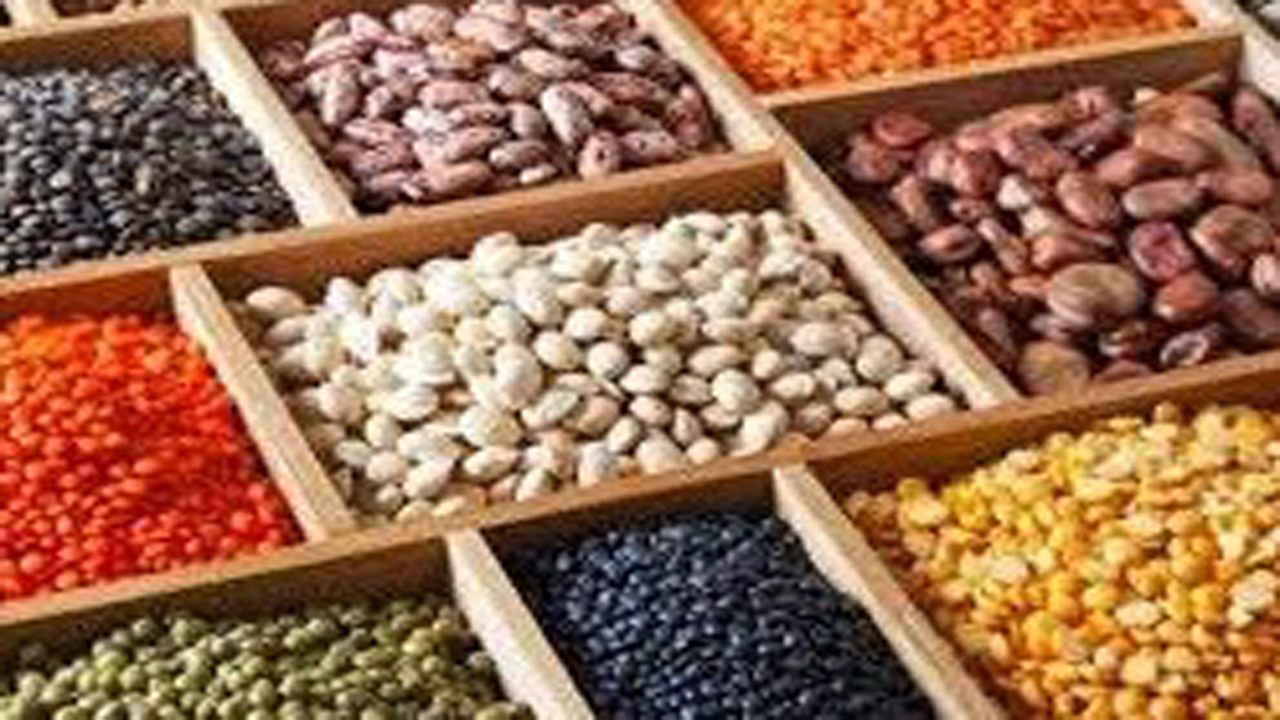 برگزاری همایش حبوبات در مرودشت
