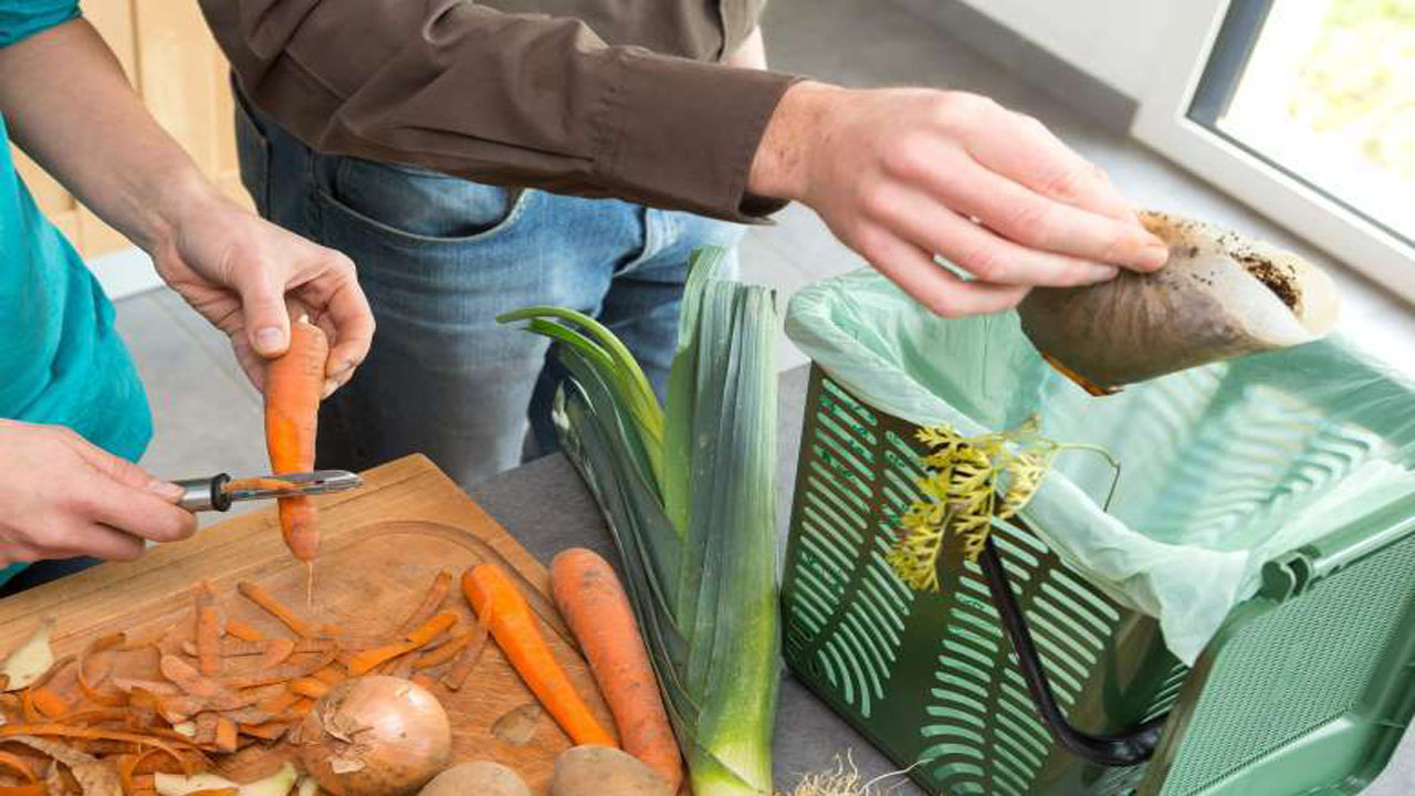 چگونه از محیط زیست حمایت کنیم؟