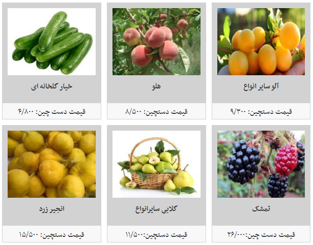 نرخ مصوب هر کیلو میوه در میادین میوه و تره بار؛ هر کیلو گلابی به قیمت ۱۱ هزار و ۵۰۰ تومان رسید