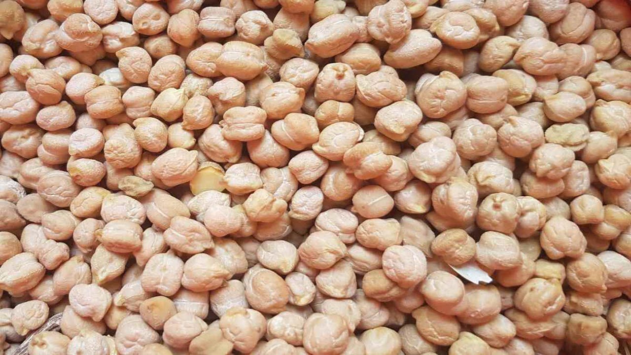 دستیابی به ارقامی از نخود پابلند در برخی نقاط استان فارس