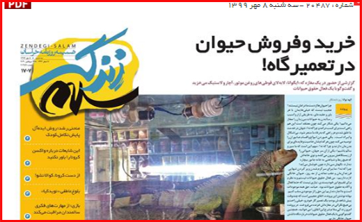 کار از موج کرونا گذشته است/ عامل اصلی گرانی های اخیر کیست؟/ تاریخ مصرف بورس تمام شده است