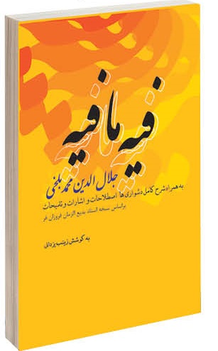 مصادره&zwnj;کنندگان مولانا عاجز از خواندن یک بیت مثنوی