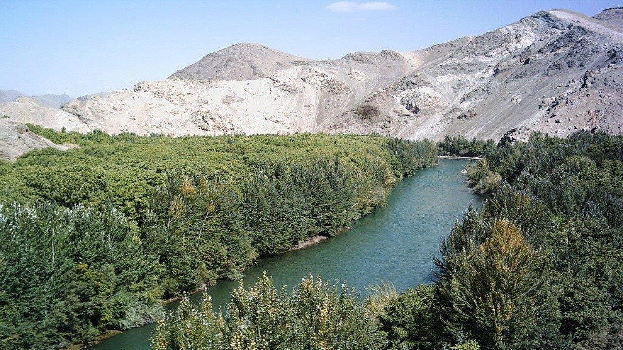 توسعه باغات