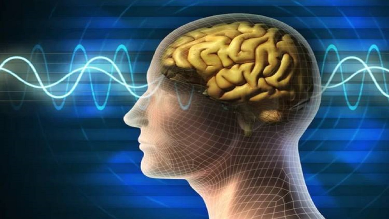 استفاده از کدام مواد غذایی آلزایمر را ضربه فنی می کند؟