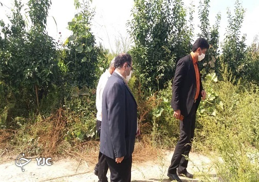 تلف شدن ۳ هزار قطعه ماهی یا فقط چند قطعه + تصاویر
