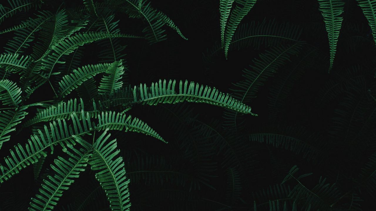جذاب&zwnj;ترین تصاویر
