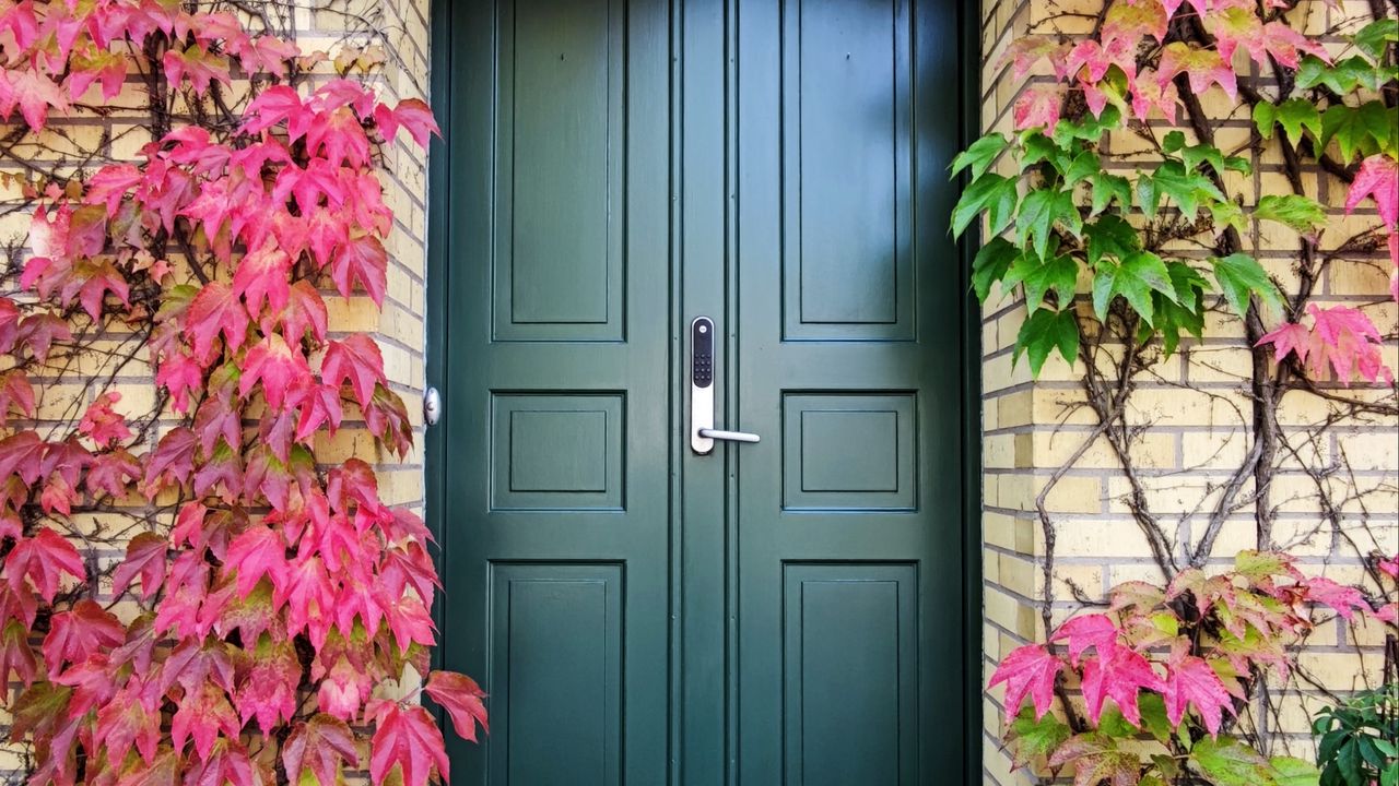 تصاویر پس زمینه زیبا