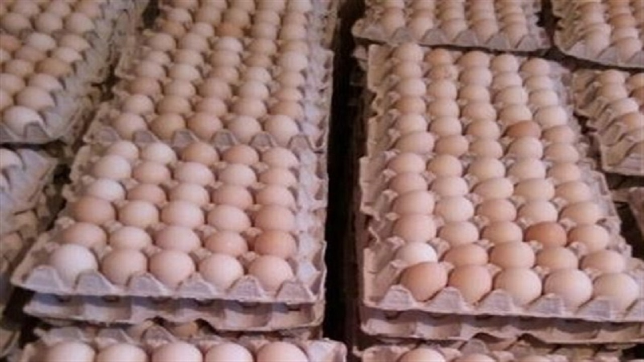 بازار تخم مرغ در اصفهان همچنان پر تلاطم است