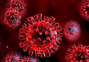 بیشترین موارد جدید کرونا در خراسان جنوبی مربوط به مهر ماه است