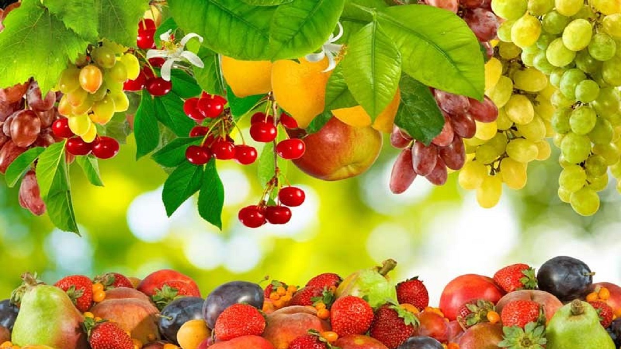اجرای طرح کنترل عوامل خسارت زا در باغ‌های شهرستان البرز