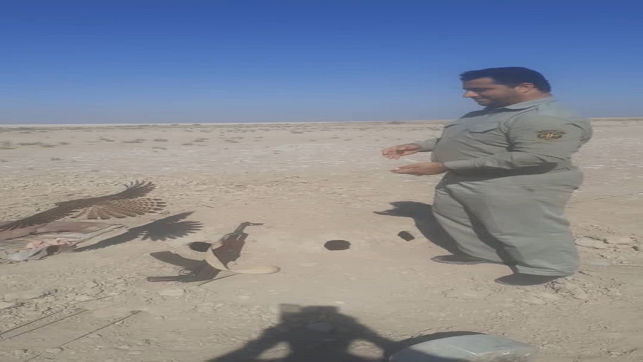 تخریب ۶ باب کوخه و جمع آوری ۱۲ رشته تور پرنده گیری در آبادان