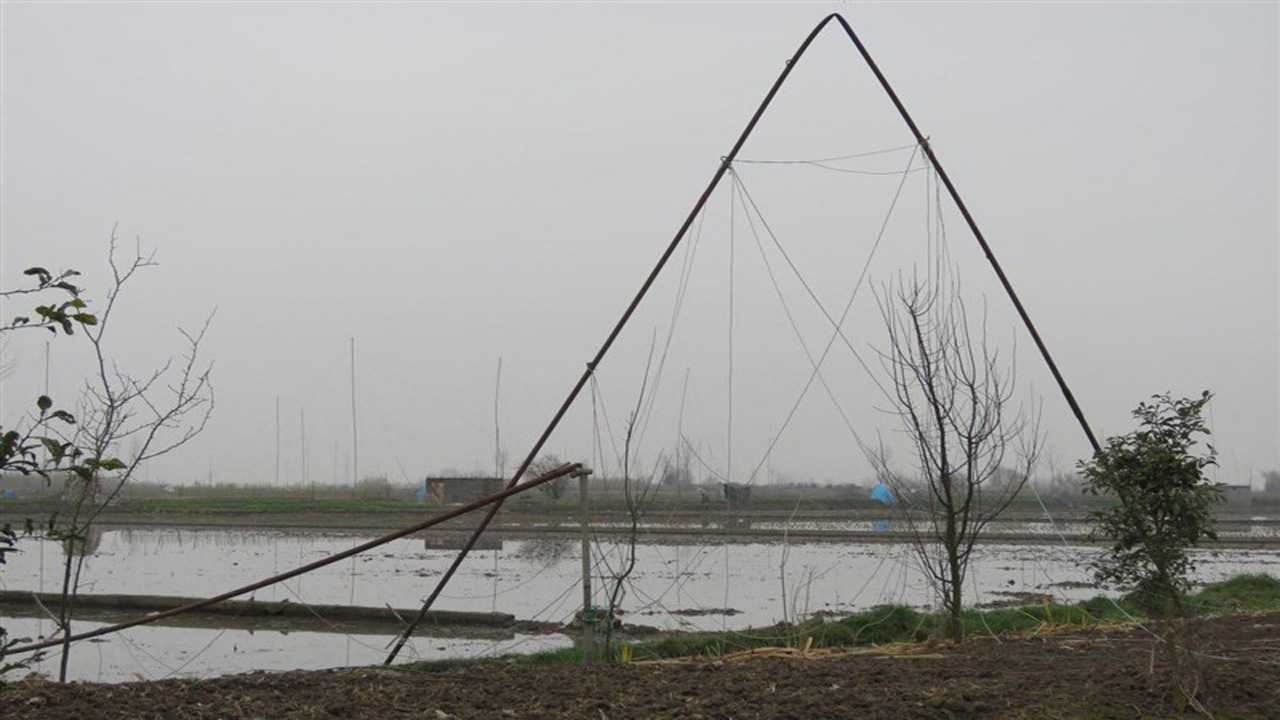 تخریب ۸ رشته دام هوایی در آمل