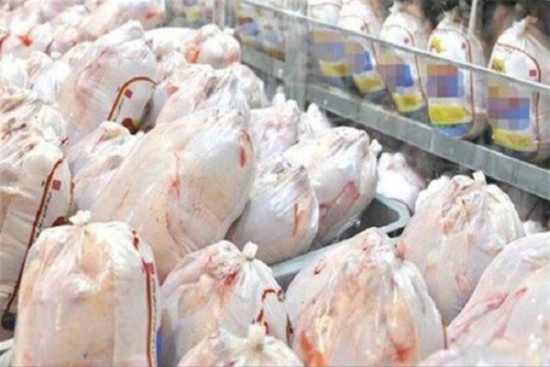 برخورد با مرغداران متخلف