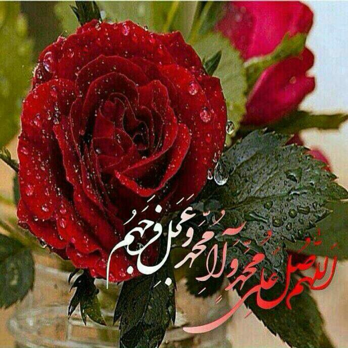 برگزاری پویش مهر محمدی در همدان
