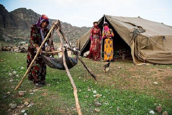 از استان آذربایجان شرقی رتبه اول کشور در تولید سنجد تا عشایری که سهم زیادی در رونق تولید دارند + فیلم
