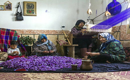 مراتع گلستان ظرفیت بالقوه کشت گیاهان دارویی مراتع گلستان ظرفیت بالقوه کشت گیاهان دارویی