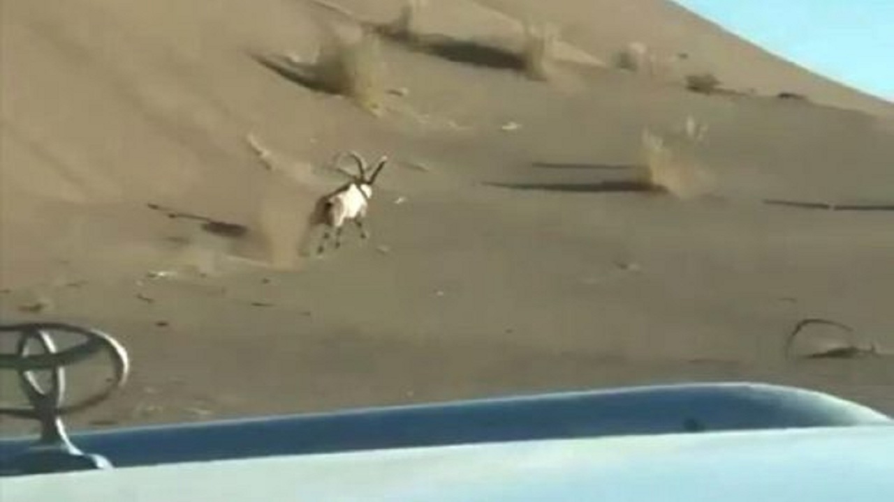 واکاوی تفریحی عصر حجری در اصفهان که جنجال‌برانگیز شد!