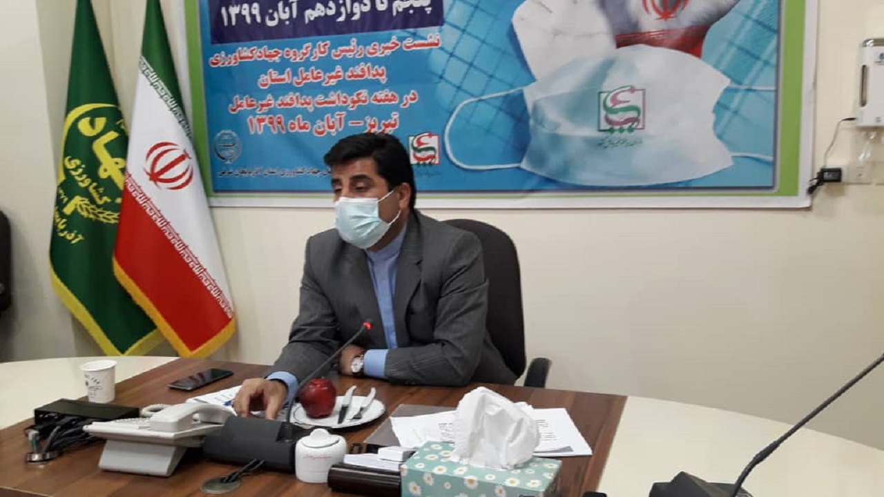 پیش بینی تولید یک میلیون تن گندم در استان