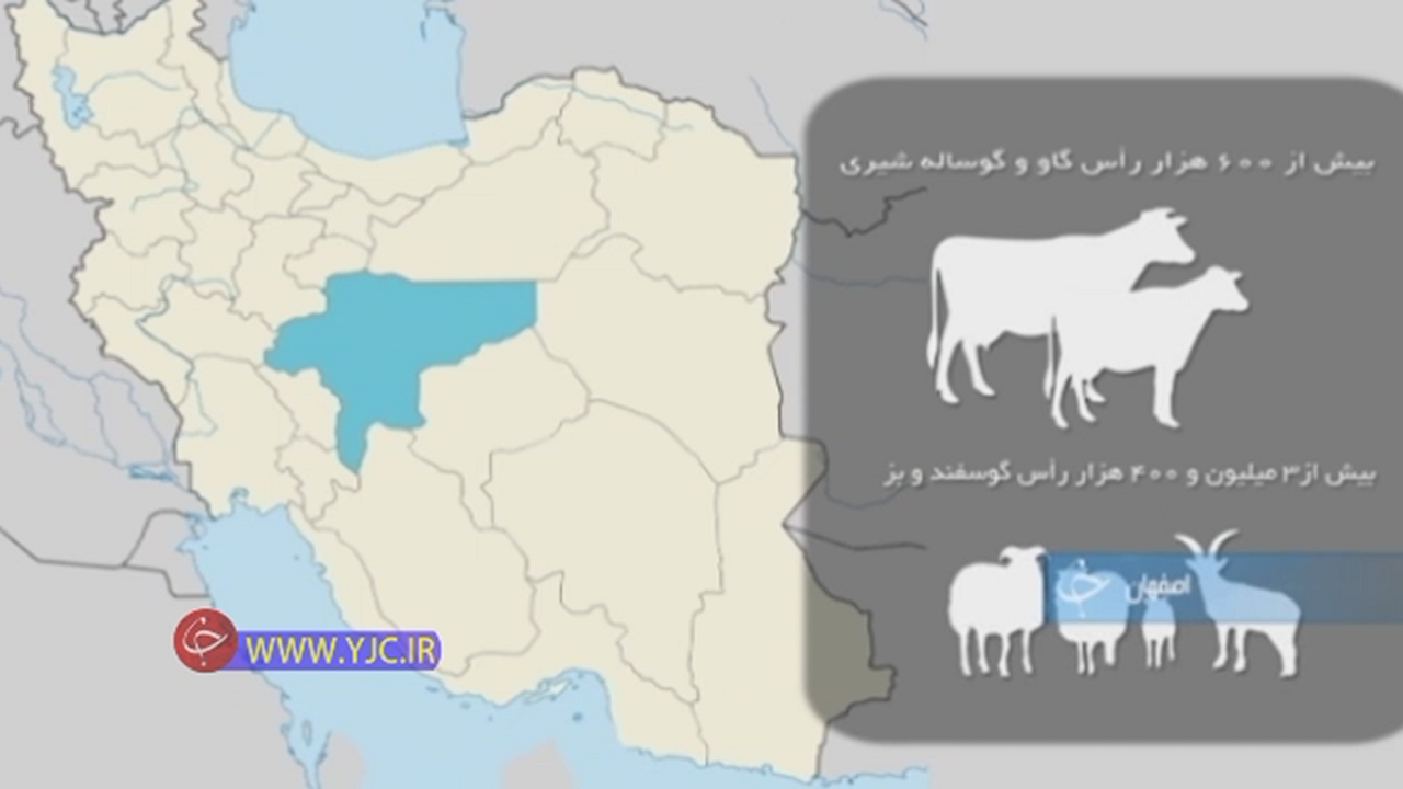 پرورش دام و تنوع تولید محصولات دامپروری+فیلم
