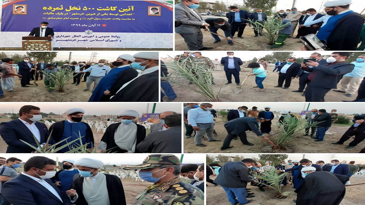 کاشت ۵۰۰ نخل اهدایی یک خیر در خرمشهر
