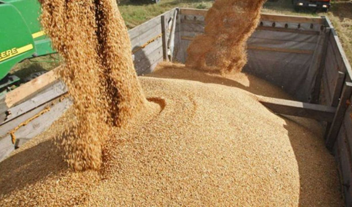 کشف نهاده‌های دامی احتکار شده در اسدآباد