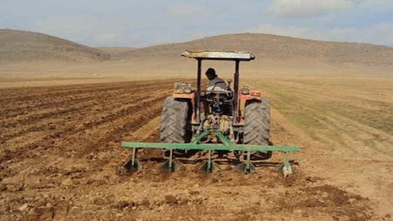 اجرای طرح جهش تولید در دیم زار‌های کردستان
