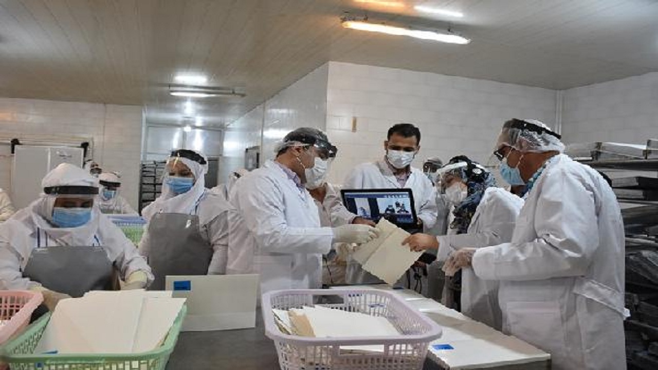 چینی‌ها سلامت میگوی صادراتی بوشهر را به این کشور بررسی کردند