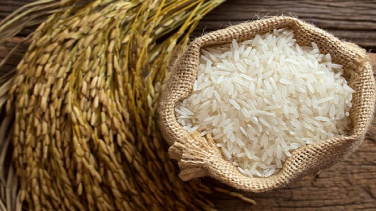 کف تولید برنج ۲ میلیون و ۴۰۰ هزار تن است؛ نبود نظارت علت اصلی گرانی برنج