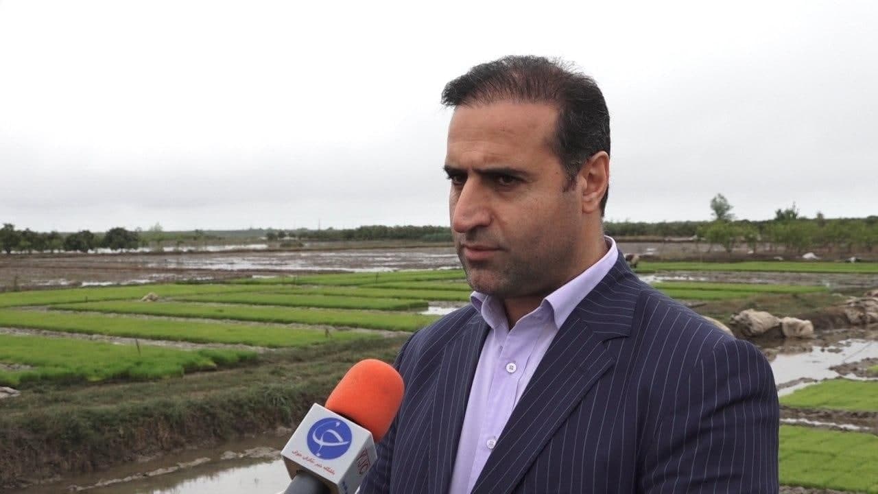 پرداخت غرامت به کشاورزان مازندرانی در انتهای راه