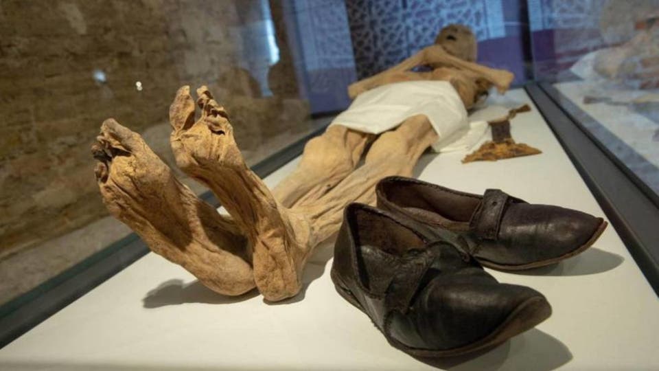پیدا شدن جسد پوسیده پیرمردی در منزلش ۶ ماه پس از مرگ پیدا شدن جسد پوسیده پیرمردی در منزلش ۶ ماه پس از مرگ