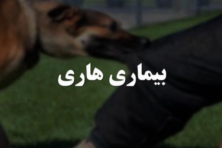 کاهش چشمگیر بیماری هاری در دام‌های شهربابک