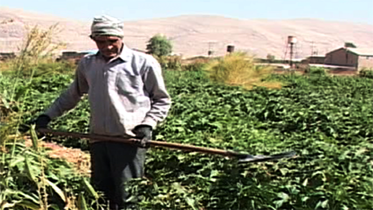 وام " کشاورز کارت " به خرده مالکان لرستان پرداخت می‌شود