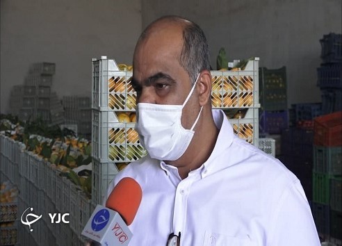صادرات مرکبات
