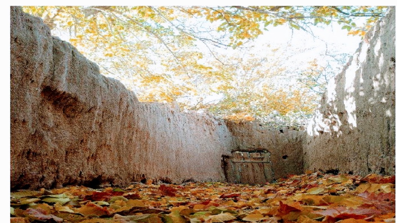 روایتی زیبا از پاییز گناباد در قاب تصویر