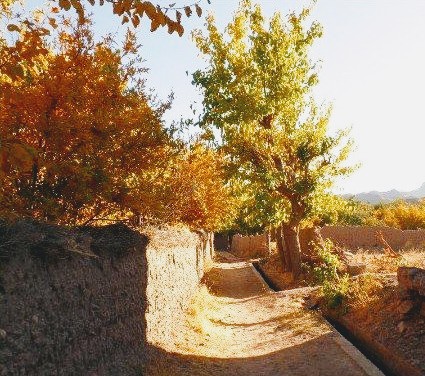 روایتی زیبا از پاییز گناباد در قاب تصویر