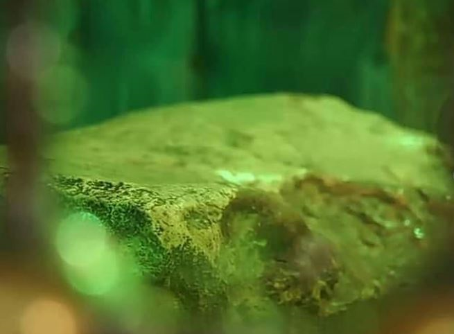 سنگی که میزبان سر سیدالشهدا(ع) بود پس از ۸ سال به جایگاه اصلی بازگشت