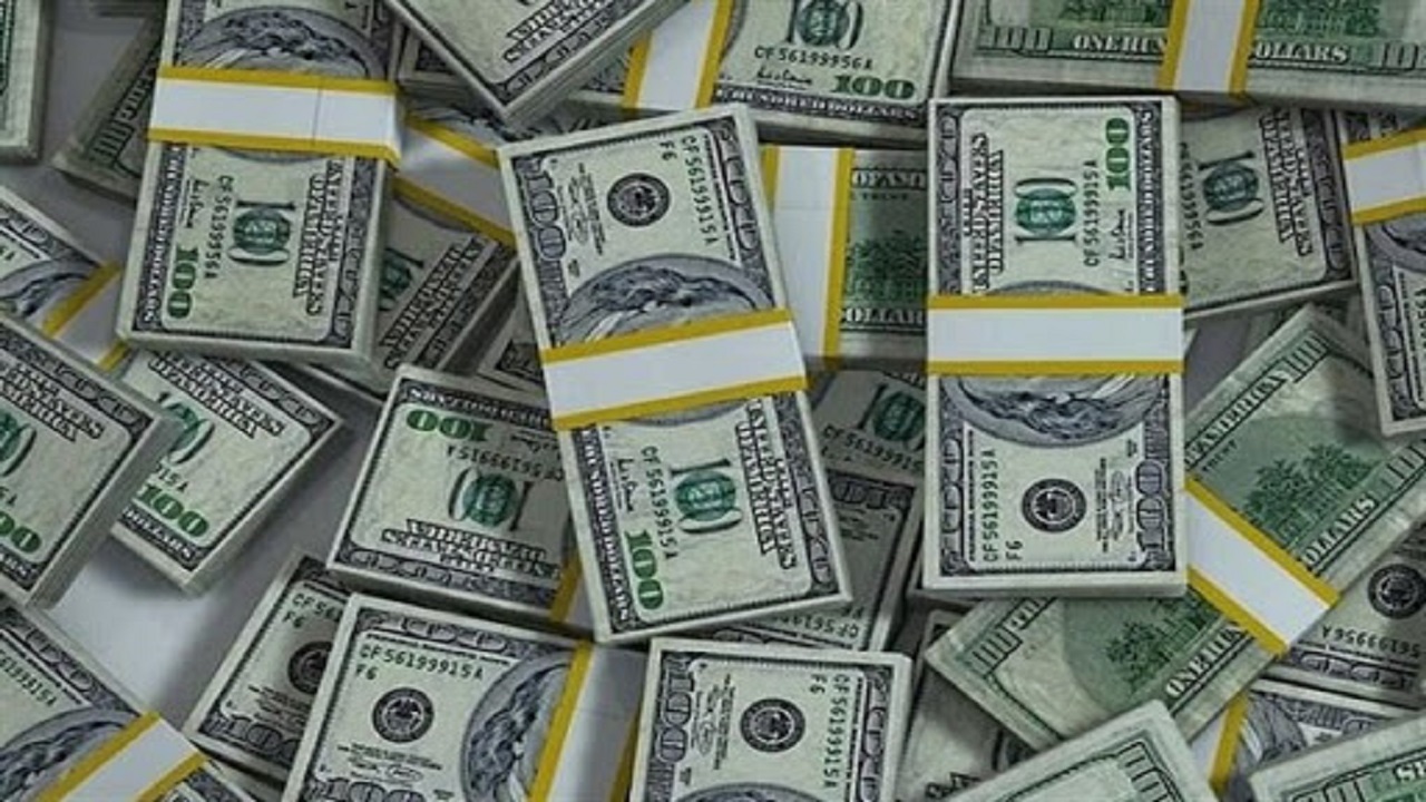 سرقت دلار در یزد، دستگیری سارق در کاشمر