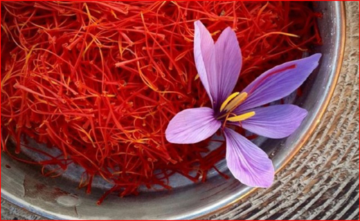 روغن، بهانه&zwnj;ای برای فروش کالا&zwnj;های کم خریدار! / شهردار ساری دستگیر شد/ کرونا و حکایت ختم مجازی این روز&zwnj;ها