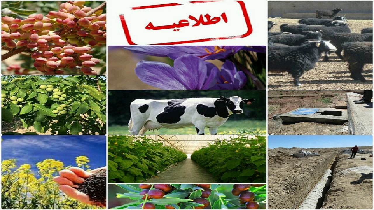 ارائه تسهیلات به طرح‌های صنایع تبدیلی و تکمیلی