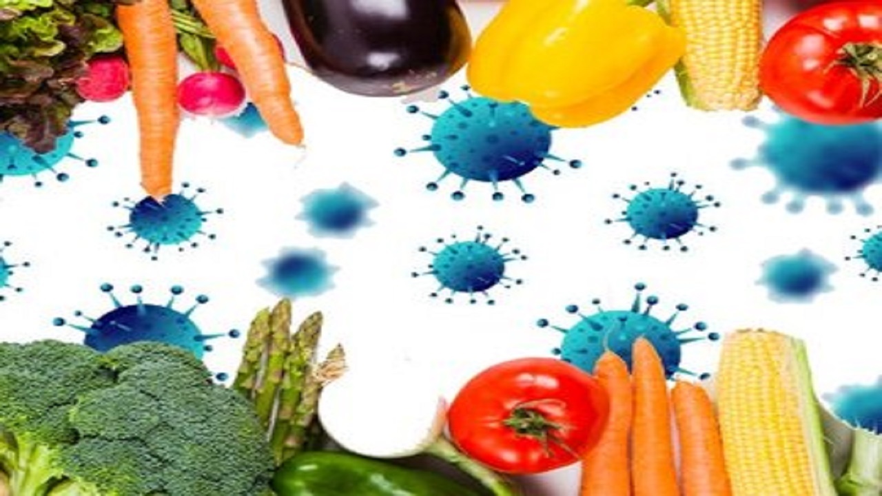 بیماران کرونایی با علائم گوارشی کدام مواد غذایی را مصرف کنند؟