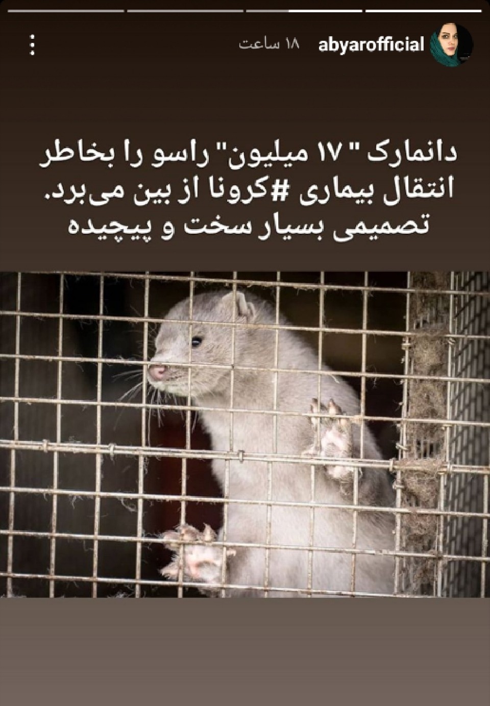 معدوم سازی 17 ملیون راسو