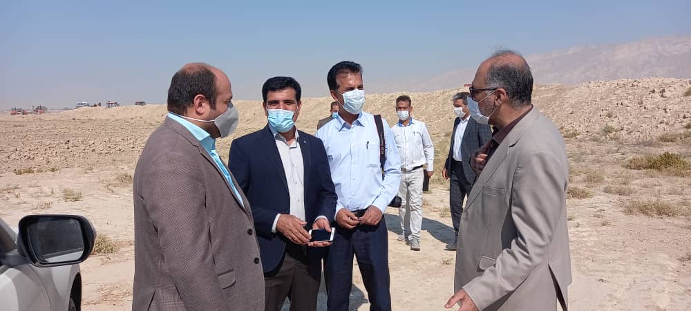 ۸ درصد مزارع گندم بوشهر زیر کشت رفته است