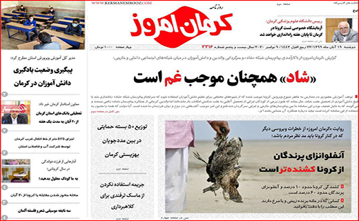 سراشیبی قیمت ها در بازار طلا و سکه/ ماراتن گوجه فرنگی با مرغ/ داروخانه تلگرامی!