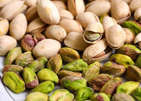پسته در جنوب خراسان رضوی