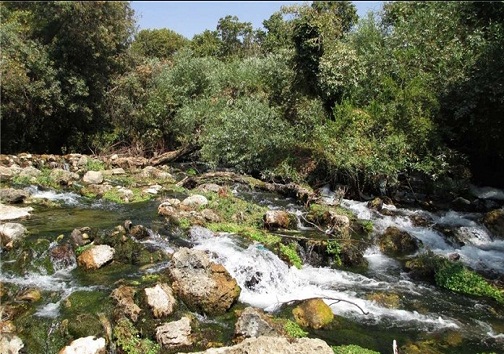 روستای موری نقطه کور خوزستان/ مشترکان ساکن این روستا در دسترس نیستند